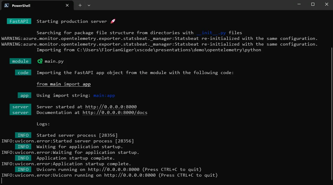 Terminal Screenshot of logs